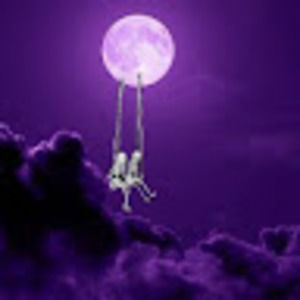 Meet your Posher, Macee